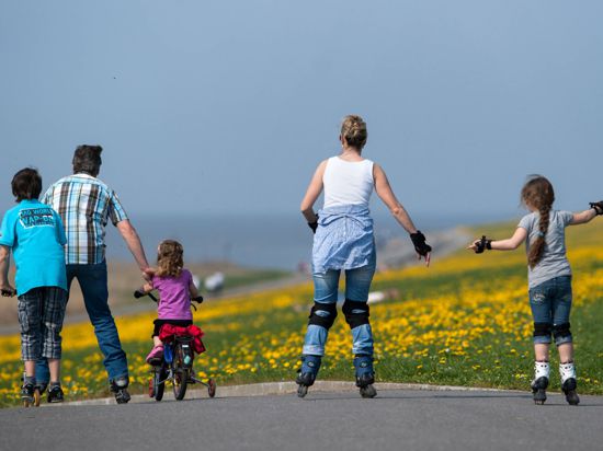  Ein Mann, eine Frau und drei Kinder fahren mit Inline-Skates, Fahrrad und Tretroller durch Wiesen.