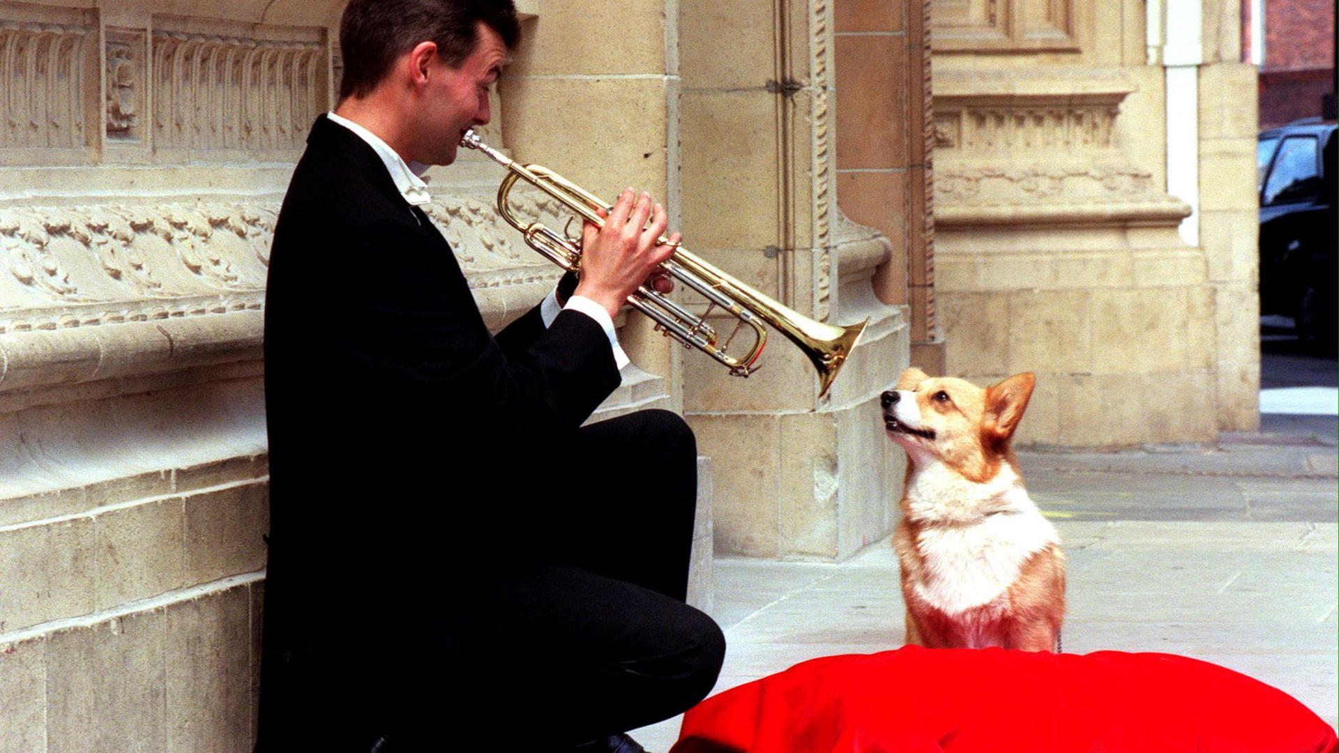 Mitheulen erlaubt: Ein Trompeter des Royal Philharmonic Orchestra spielt im Jahr 2000 ein zum Jubiläum der Königinmutter geschriebenes Musikstück dem königlichen Corgy Wendy vor. 