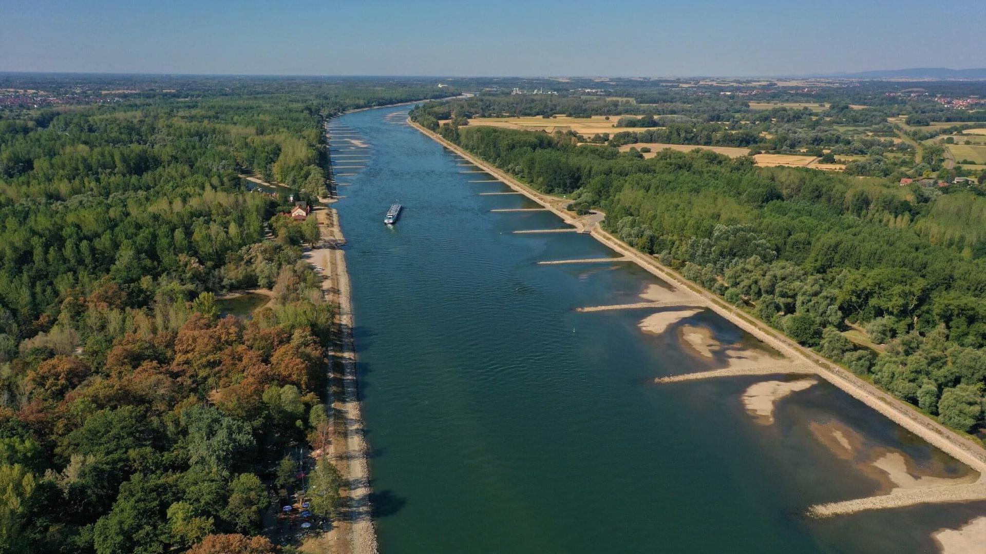 Wo ist das Wasser hin? Auf dem Luftbild sind deutlich die Kiesinseln und die weit in den Rhein hineinragenden Buhnen zu sehen. Die Aufnahme entstand bei Neuburgweier, wo am Mittwoch der Fährbetrieb eingestellt wurde.