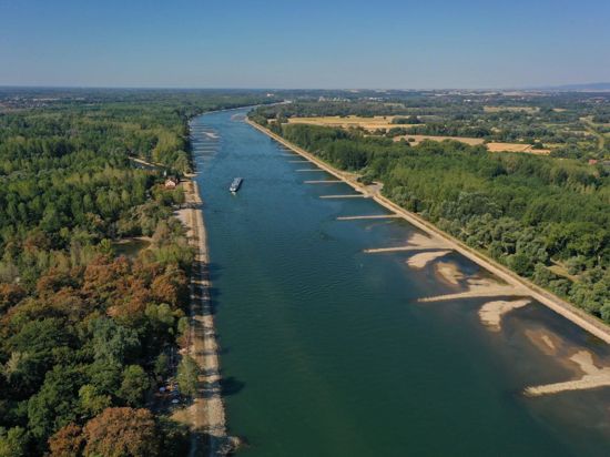 Wo ist das Wasser hin? Auf dem Luftbild sind deutlich die Kiesinseln und die weit in den Rhein hineinragenden Buhnen zu sehen. Die Aufnahme entstand bei Neuburgweier, wo am Mittwoch der Fährbetrieb eingestellt wurde.