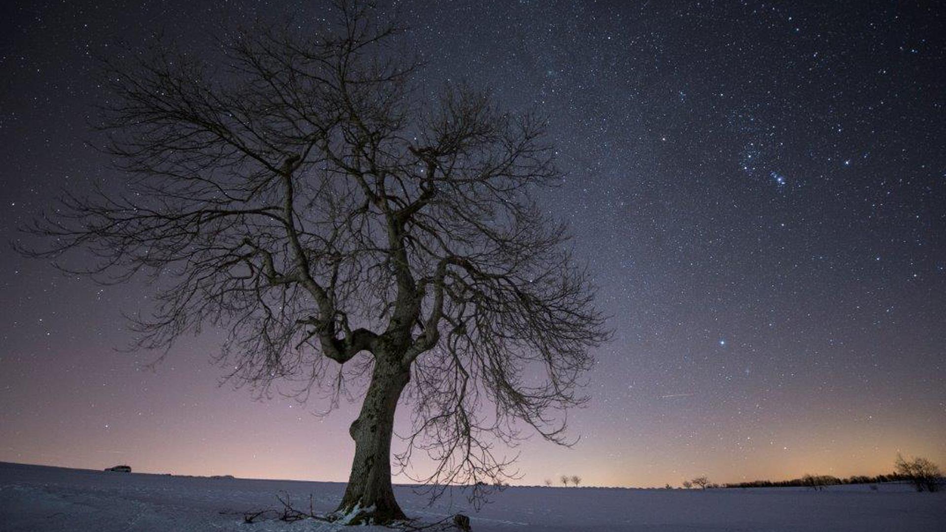 Der Himmel mit unzähligen Sternen übersät, die Milchstraße deutlich erkennbar: Ein Beispiel dafür, wie Lichtverschmutzung erfolgreich reduziert werden kann, um die natürliche Dunkelheit der Nacht zurückzuholen. Das Bild wurde aufgenommen auf der Hohen Geba im Sternenpark Rhön (östlich von Fulda in Hessen).