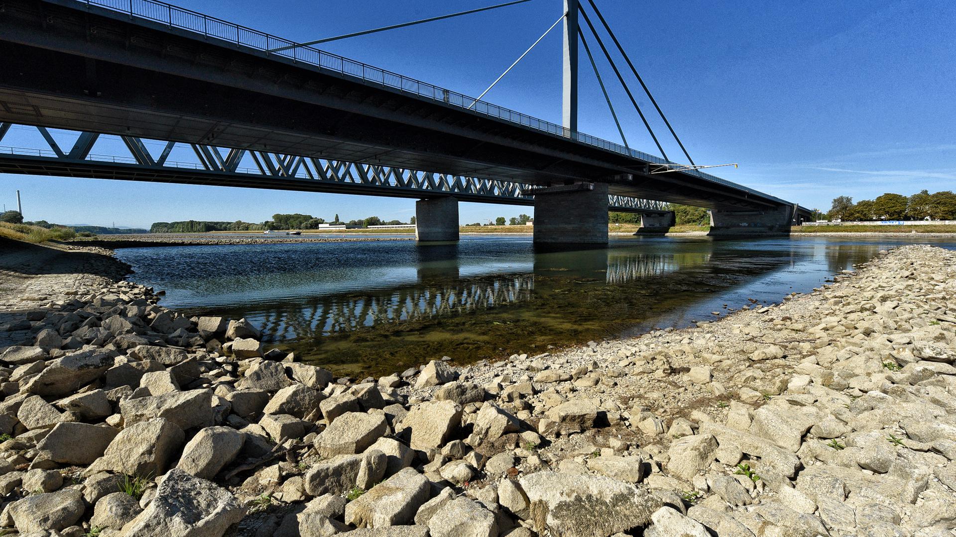 Ein seltenes Bild: Der Rhein bei Maxau/Karlsruhe. Das Wasser unter der Rheinbrücke ist jetzt stellenweise so flach, dass man dort spazieren gehen. Der Pegelstand betrug zuletzt nur 3,31 Meter. Tendenz: sinkend.