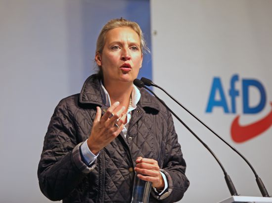 Besorgt über die mauen Umfragewerte: AfD-Spitzenkandidatin Alice Weidel bei einer Wahlkampfveranstaltung ihrer Partei am Sonntag in Pforzheim.