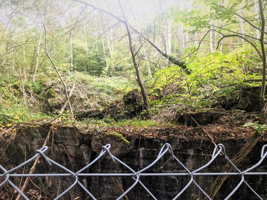 Stahlbeton zerfällt im Wald. Zurück zur Natur: Die Reste des zerstörten Westwall-Bunkers auf dem Hohenberg bei Oberottenbach sind längst zum Refugium für  Pflanzen und Tiere geworden.