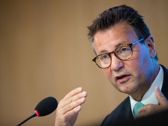 Peter Hauk (CDU), Minister für Ländlichen Raum in Baden-Württemberg, spricht.