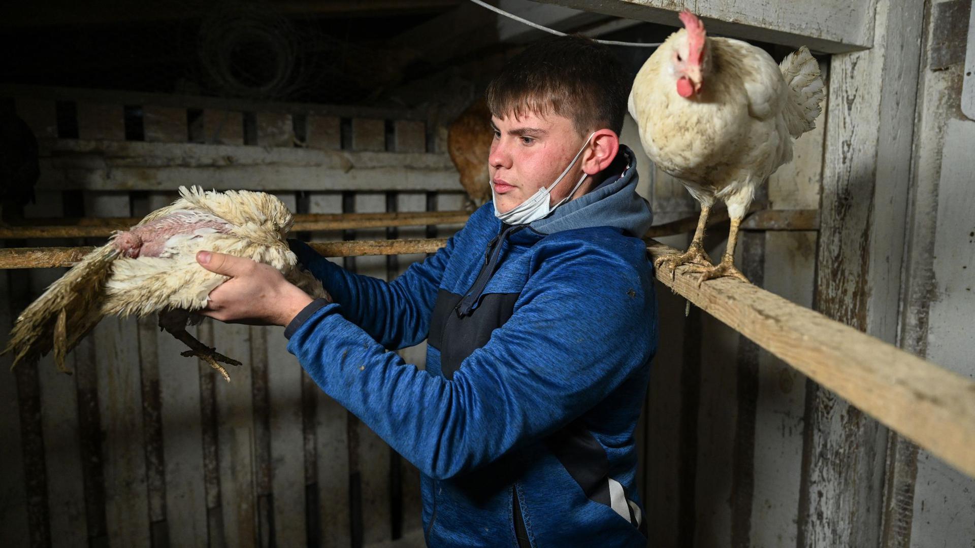 Der 17-Jährige Nic Dilger aus Tettnang steht in seinem Hühnerstall.