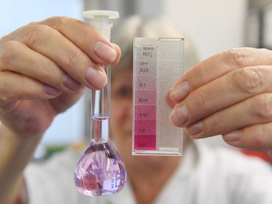 Eine Chemielaborantin zeigt ein Flasche mit einer Grundwasserprobe zur Nitratüberprüfung.