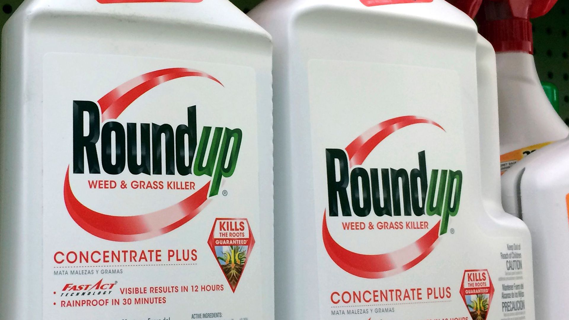 Bayer muss nicht vor Glyphosat-Krebsrisiken von Roundup warnen.