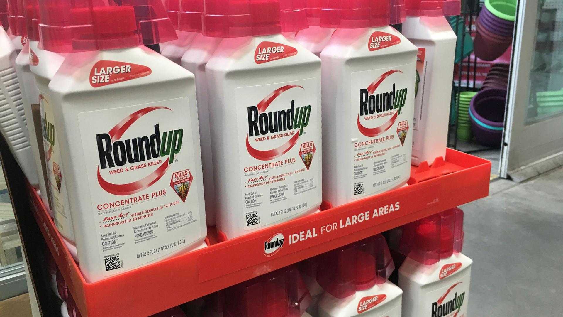 Der Unkrautvernichter Roundup mit dem Wirkstoff Glyphosat steht in einem Geschäft.