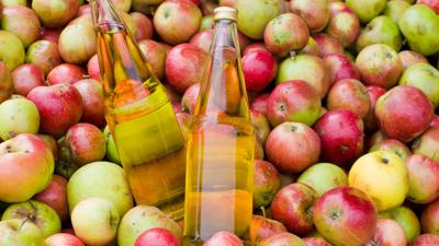 ARCHIV - In einem Behälter mit Äpfeln in der Mosterei Skottki in Buckow unweit der brandenburgischen Ortschaft Beeskow (Oder-Spree) stehen zwei Flaschen Apfelsaft, aufgenommen am 17.09.2008. 