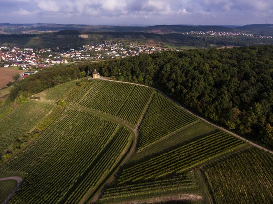 Deutschlands größtes Bio-Weingut in Privatbesitz: Weingut Heitlinger und Burg Ravensburg gelten als Vorreiter in Sachen Biodynamik.