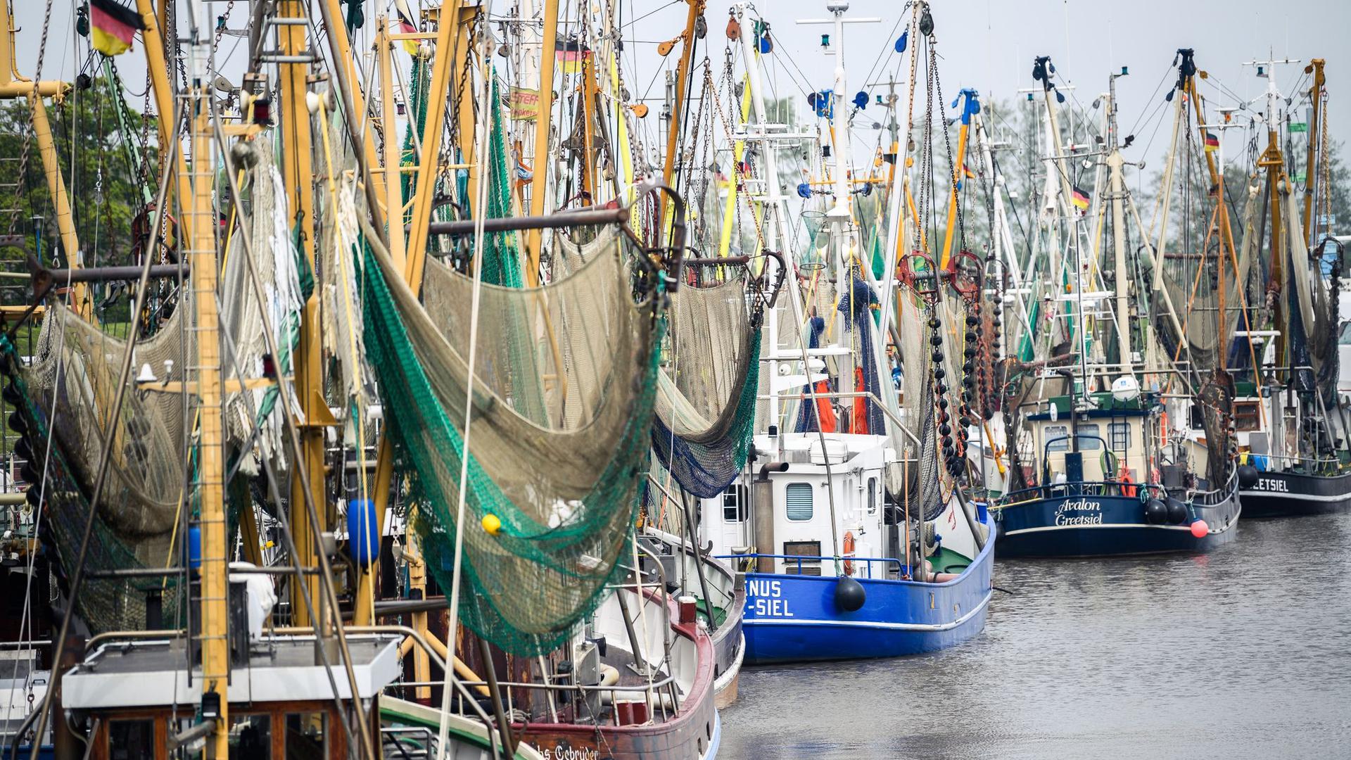 Den Krabbenfischern an der deutschen Nordsee brechen wegen der Corona-Pandemie die Einnahmen weg.