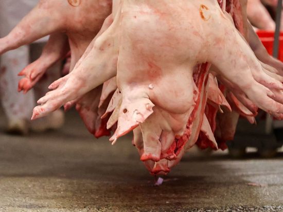 Schweinehälften hängen in einem Schlachtbetrieb. Die Agrarminister der Länder wollen an diesem Freitag über die angespannte Lage am Schweinemarkt beraten.