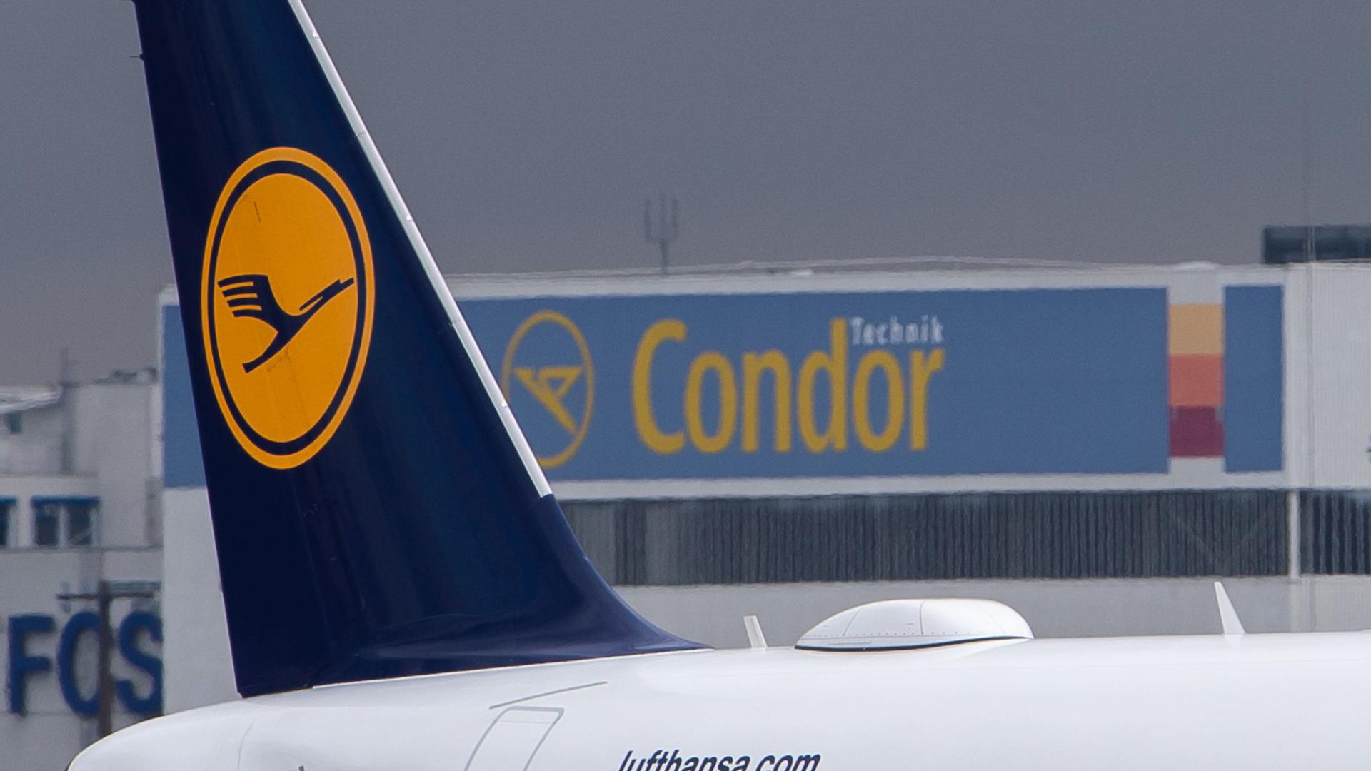 Ein Lufthansa-Airbus vor dem Logo von Condor.