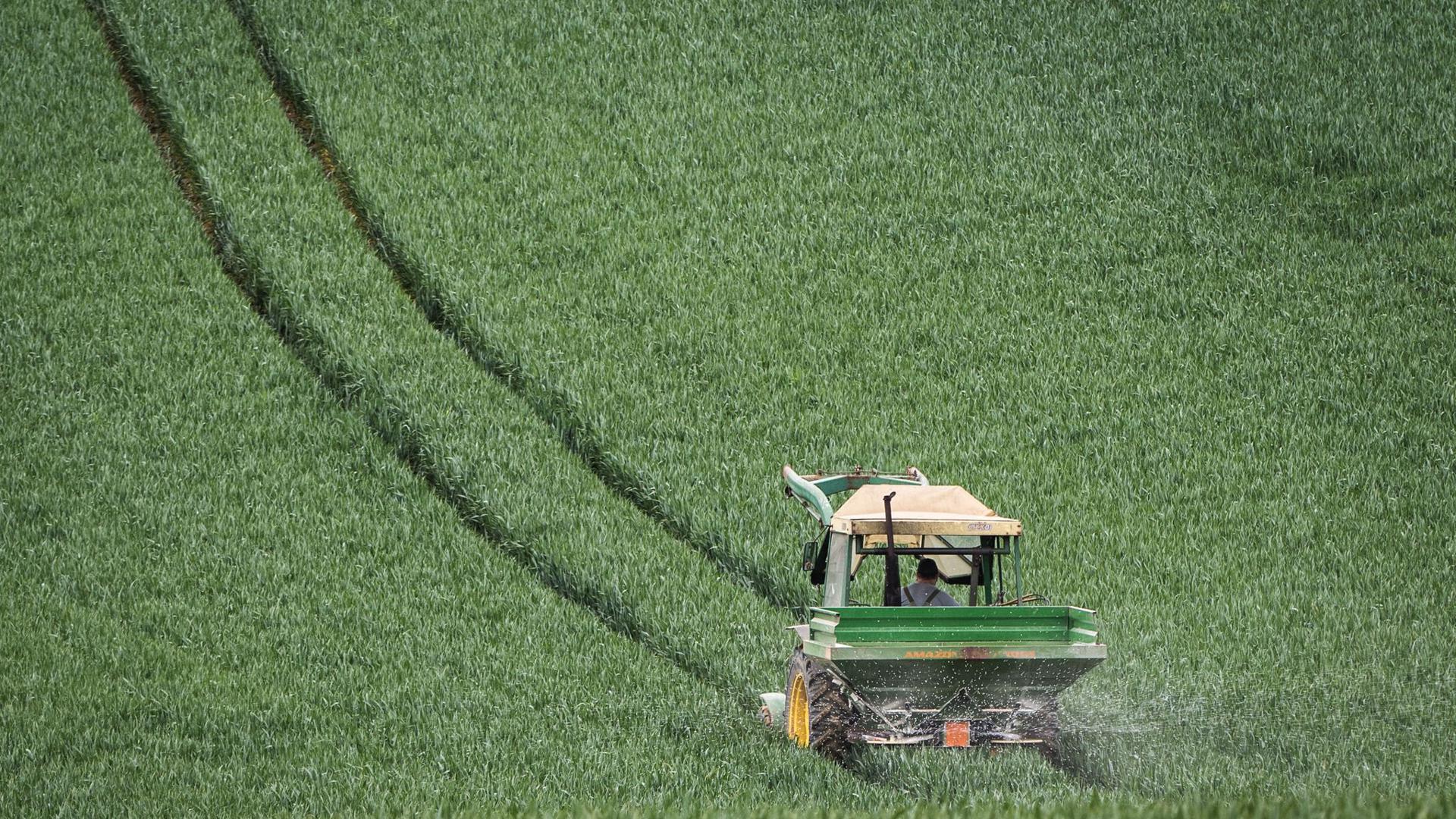 Mit dem Düngerstreuer am Traktor fährt ein Landwirt im Main-Kinzig-Kreis über ein noch grünes Getreidefeld.