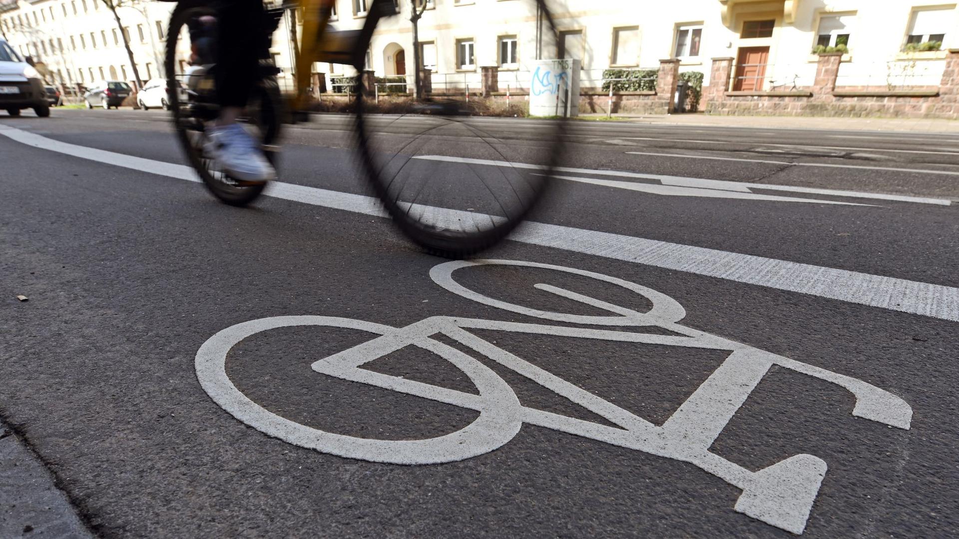 In der Karlsruher Innenstadt fährt ein Radfahrer auf einem Fahrradstreifen.