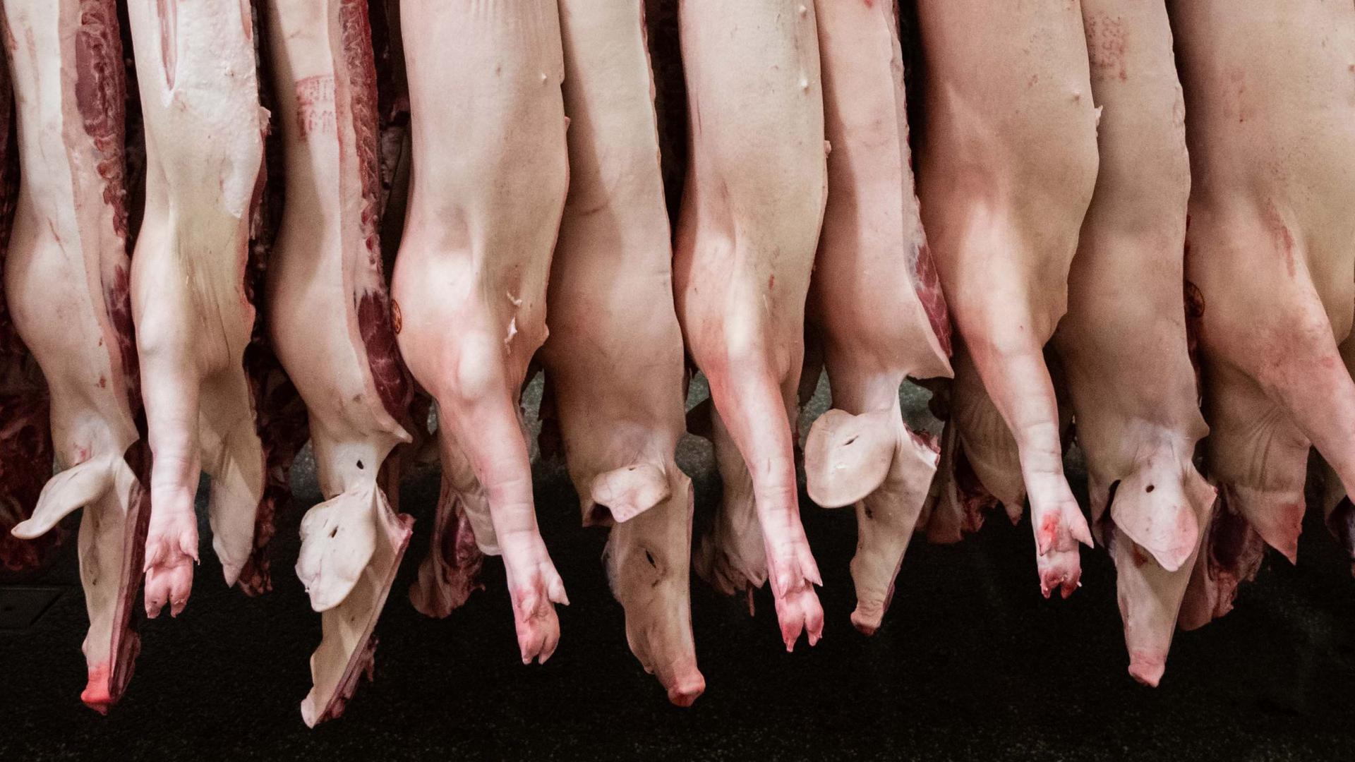 In der Fleischindustrie dürfen keine Werkverträge mehr eingesetzt werden.