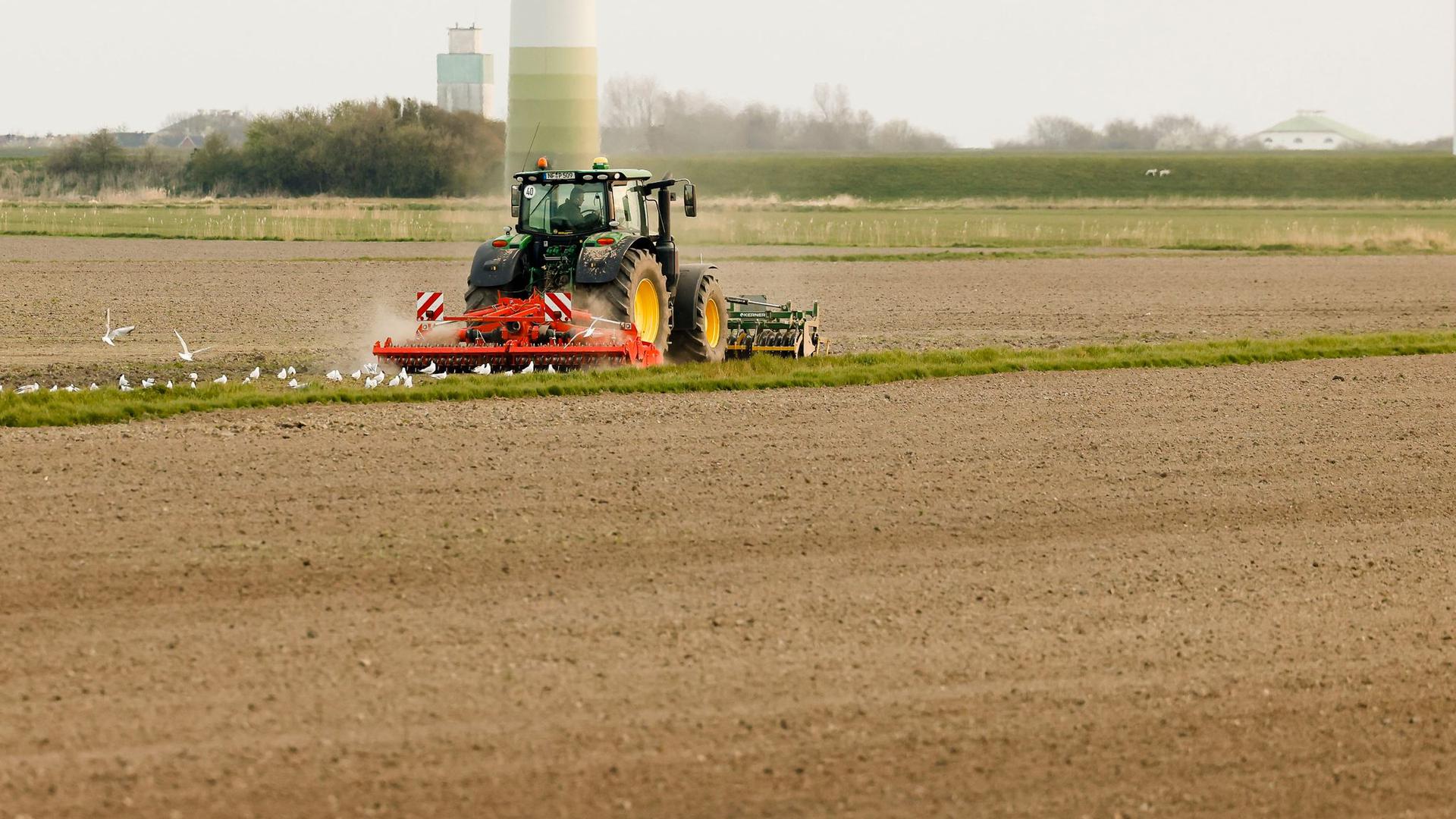 Die EU-Landwirtschaftsminister beraten über eine europäische Agrarreform. Eine Einigung könnte es noch diese Woche geben.