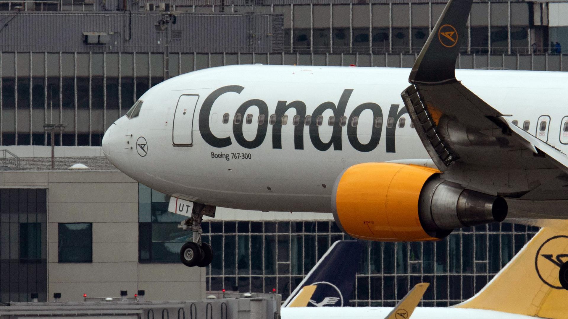 Ein Passagierflugzeug des Ferienfliegers Condor landet auf dem Flughafen in Frankfurt am Main.