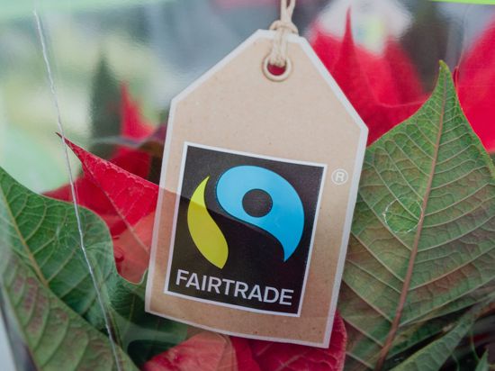 Auch in manchen Blumengeschäften können Kunden auf das Fairtrade-Zeichen achten.
