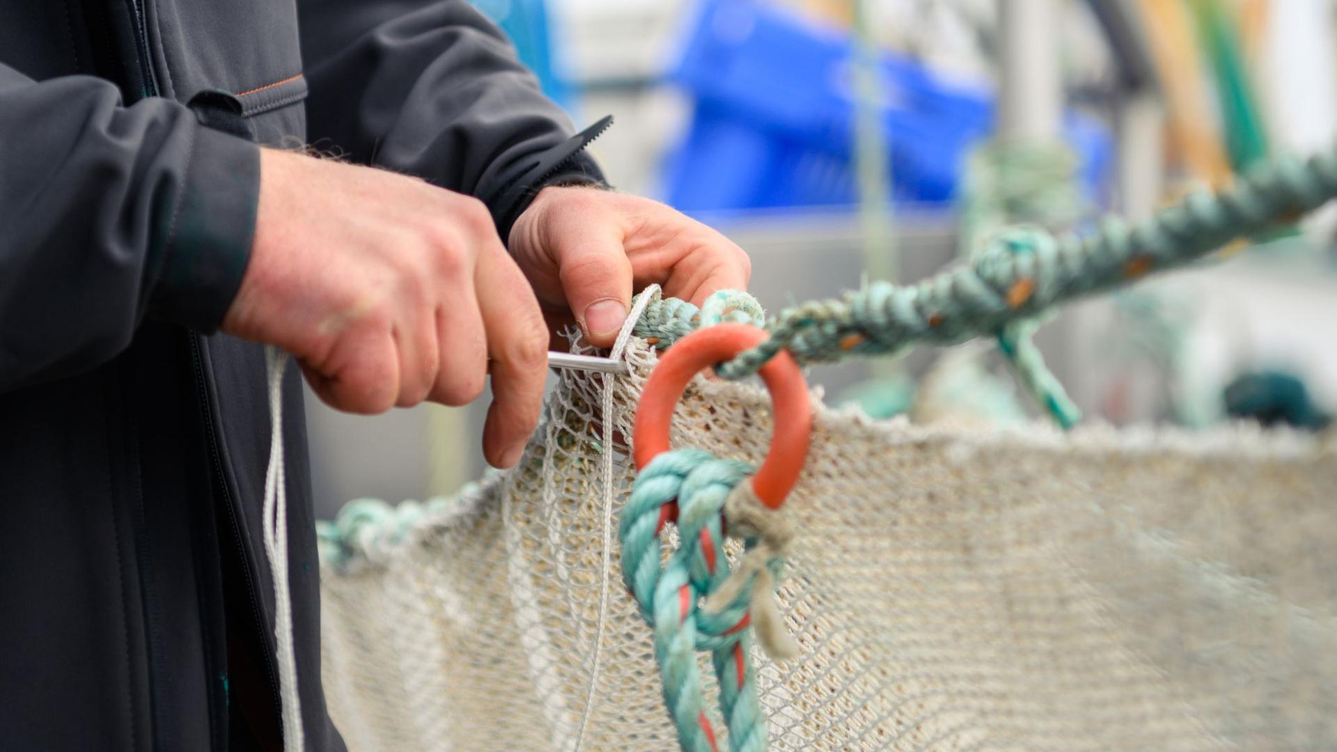 Werden die überfischten Weltmeere nicht bald geschont, droht ein Kollaps der Fischbestände.