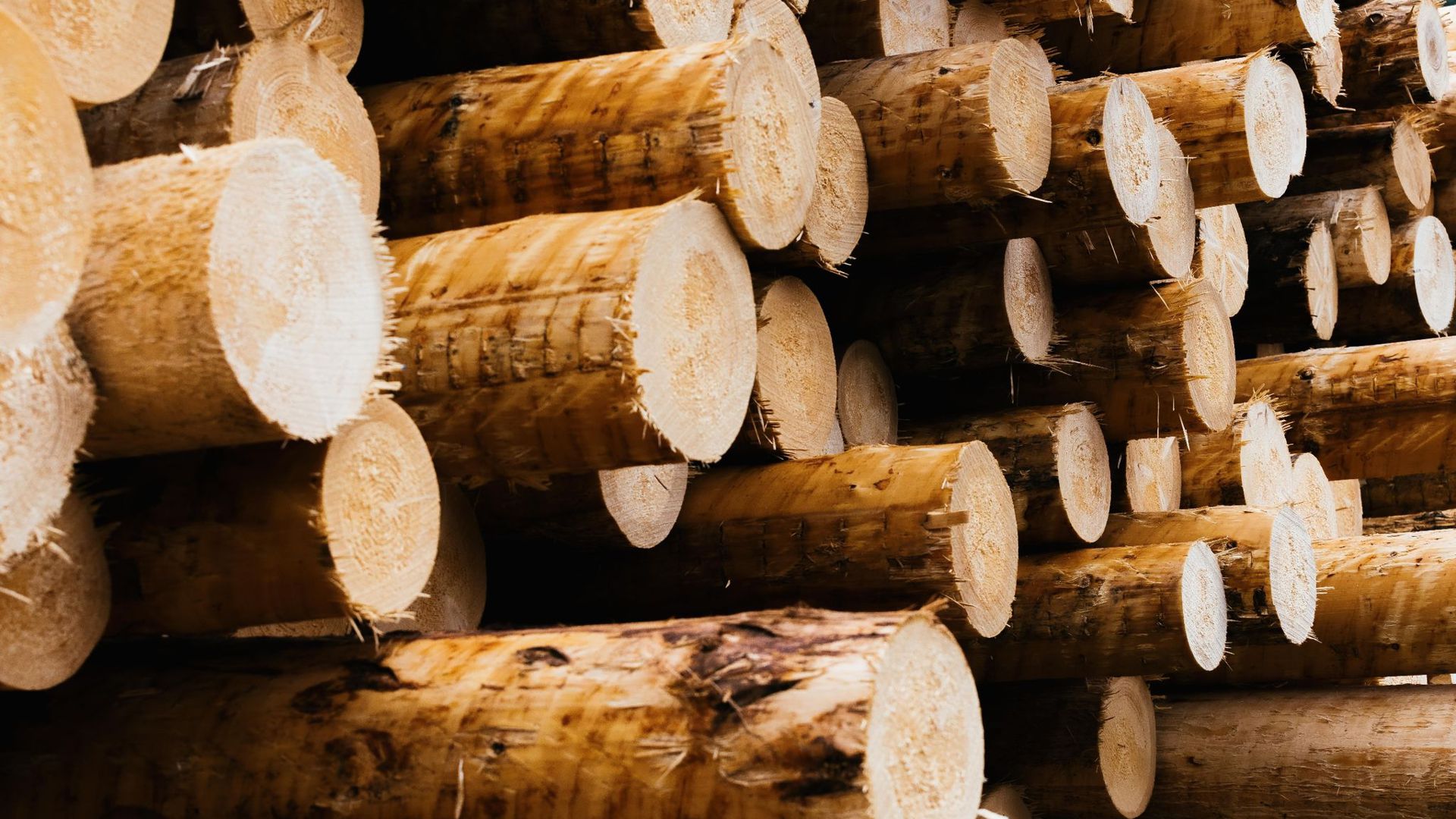 Industrielle Vorprodukte wie Holz, Stahl oder Plastik sind knapp.