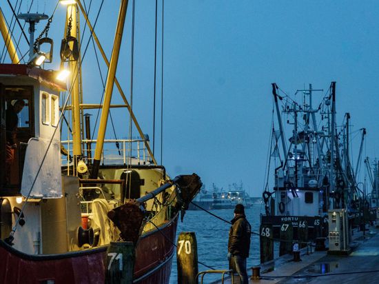 Fischerboote haben im Fischereihafen Büsum angelegt. Die EU-Ministerinnen und Minister für Agrar und Fischerei haben sich über die Fangmöglichkeiten der wichtigsten Bestände der EU für das Jahr 2022 geeinigt.