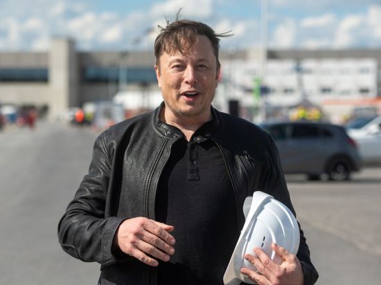 Elon Musk ist Teslas größter Einzelaktionär.