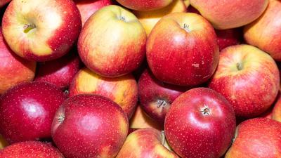 Äpfel liegen einem Lager eines Apfelanbaubetriebs in Rheinland-Pfalz.