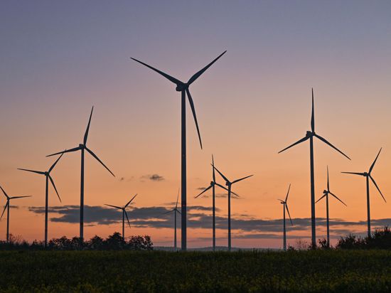 Die Umlage zur Förderung des Ökostroms nach dem Erneuerbare-Energien-Gesetz soll aus dem Bundeshaushalt finanziert werden.
