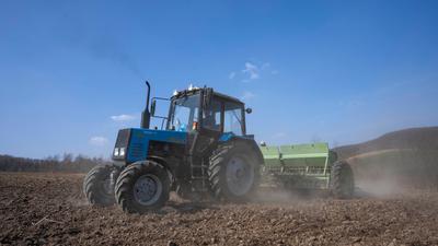 Wegen ihrer fruchtbaren Böden ist die Ukraine einer der wichtigsten Weizenexporteure weltweit.
