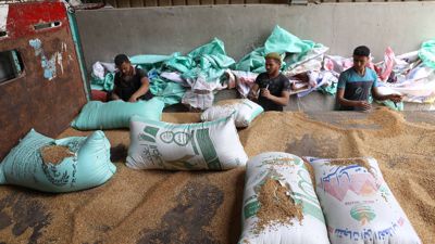 Ägypten zählt zu den größten Weizen-Importeuren der Welt und ist aktuell stark von Preissteigerungen betroffen.
