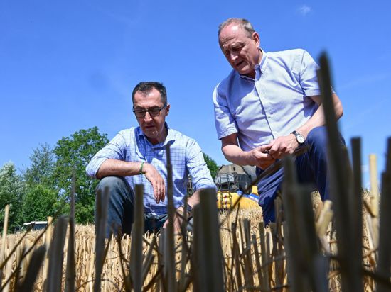 Bundesagrarminister Cem Özdemir (l, Bündnis 90/Die Grünen) unterhält sich bei einem Besuch mit Joachim Rukwied, dem Präsidenten des Deutschen Bauernverbands, auf einem Getreidefeld.