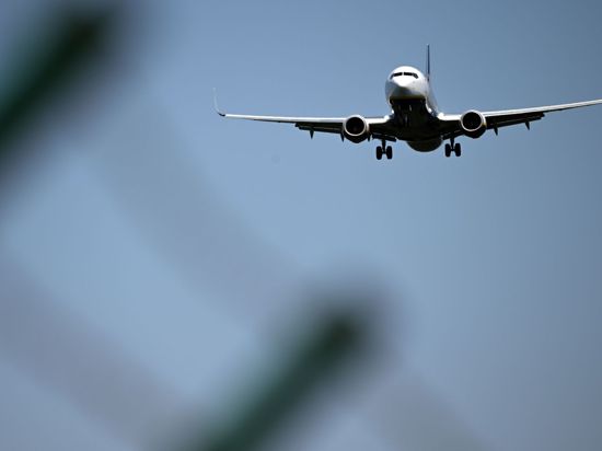 Der Billig-Flug-Anbieter Ryanair fordert, dass die neuen Einwanderungsregeln für Großbritannien überarbeitet werden.