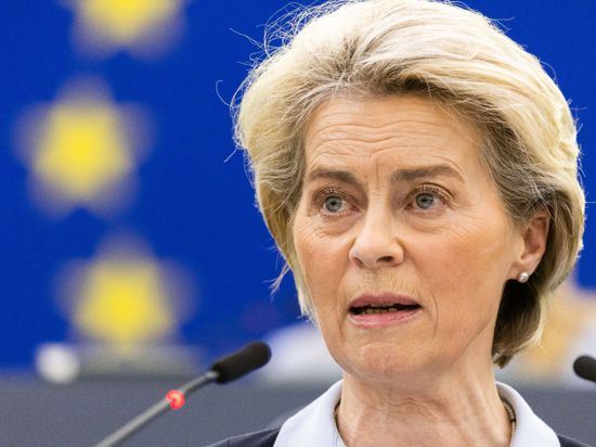 EU-Kommissionspräsidentin Ursula von der Leyen spricht im Europäischen Parlament.