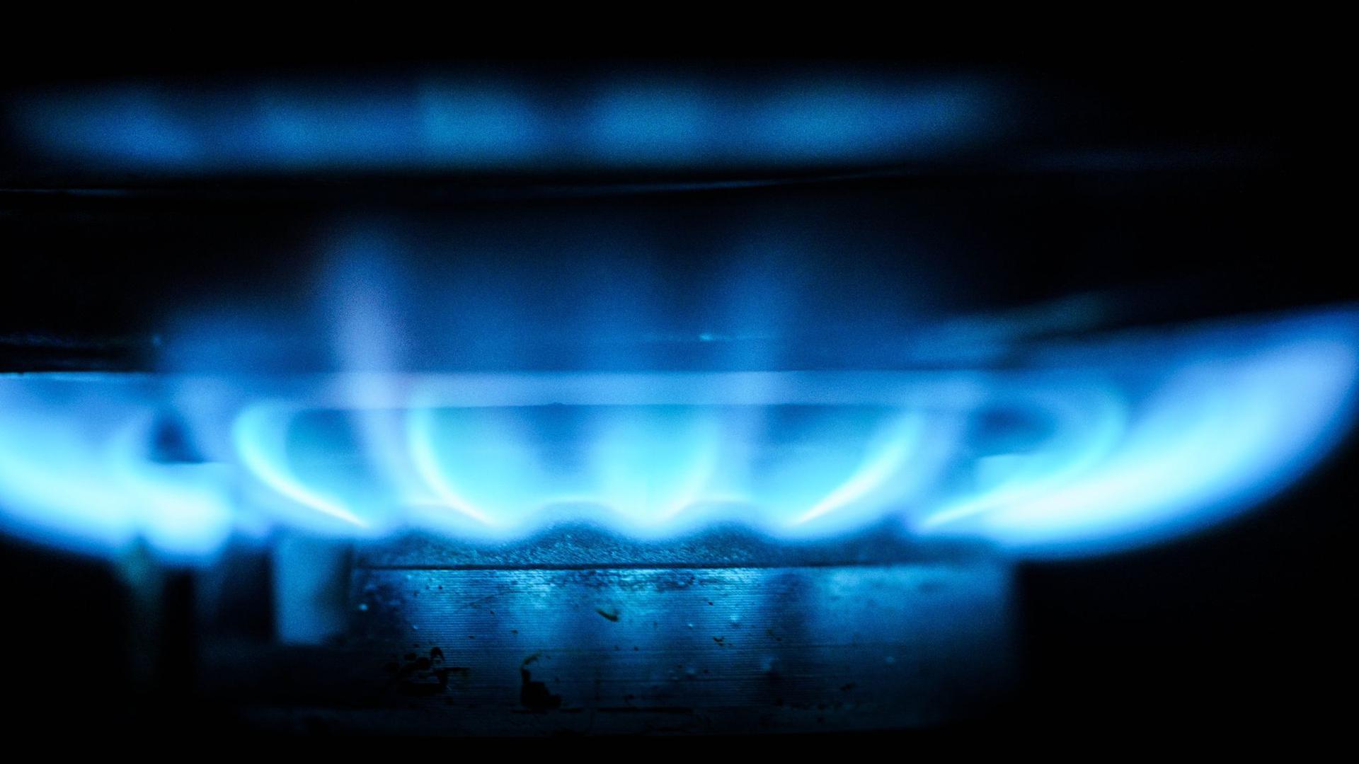Ein Gaspreisdeckel wäre nach Ansicht von Experten ein drastischer Eingriff in den Markt.