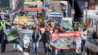 Deutsche Weidetierhalter protestieren gegen den Umgang mit Wölfen in der Viehwirtschaft in Deutschland.