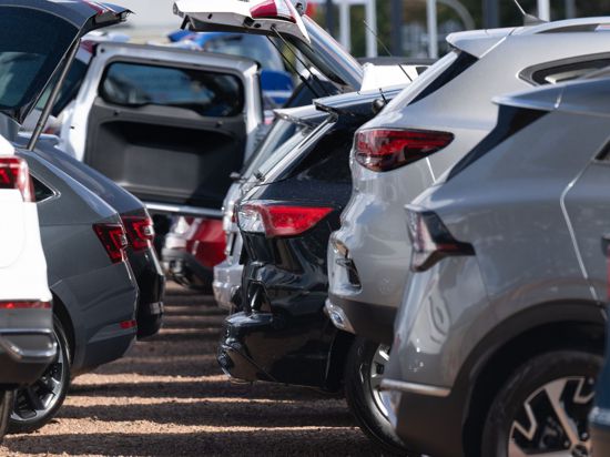 Neuwagen und Gebrauchtwagen stehen bei einem Autohändler nebeneinander. Gründe für den Preisverfall seien etwa die stagnierende Nachfrage nach E-Autos.