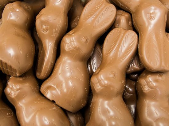 Schokoladen-Hasen liegen in einer Box – bereit, an Ostern versteckt zu werden.