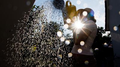 ILLUSTRATION - 17.07.2018, Niedersachsen, Laatzen: Eine Frau steht mit einer Gießkanne in einem Garten und gießt Pflanzen. Niedersachsens Wasserversorger reagieren gelassen auf die anhaltende Hitze, den ausbleibenden Regen und vor allen dem gesteigerten Wasserverbrauch. (zu dpa "Trotz Hitzewelle: Keine Engpässe bei Grundwasser und Talsperren" vom 18.07.2018) Foto: Julian Stratenschulte/dpa +++ dpa-Bildfunk +++