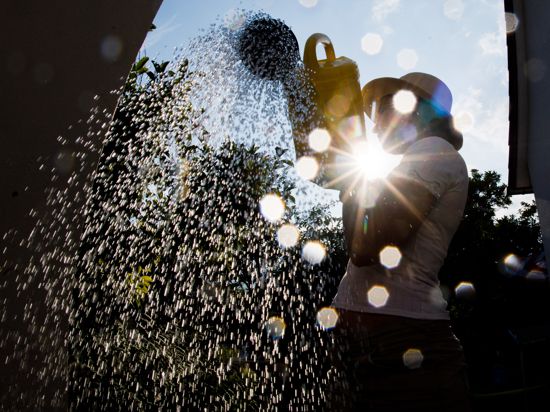 ILLUSTRATION - 17.07.2018, Niedersachsen, Laatzen: Eine Frau steht mit einer Gießkanne in einem Garten und gießt Pflanzen. Niedersachsens Wasserversorger reagieren gelassen auf die anhaltende Hitze, den ausbleibenden Regen und vor allen dem gesteigerten Wasserverbrauch. (zu dpa "Trotz Hitzewelle: Keine Engpässe bei Grundwasser und Talsperren" vom 18.07.2018) Foto: Julian Stratenschulte/dpa +++ dpa-Bildfunk +++