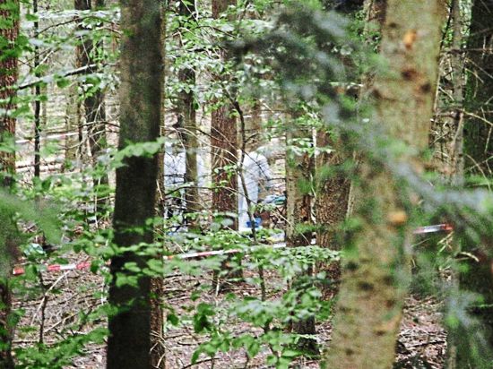 Die Leiche von Simon Paulus wird im Pforzheimer Hagenschießwald verscharrt. Ein Forstarbeiter findet sie.
