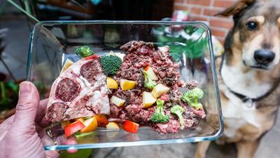 Zum Themendienst-Bericht vom 22. Mai 2019: Futter nach der Barf-Methode besteht aus rohem Fleisch, Innereien, Knorpelfleisch, Knochen sowie Obst und Gemüse.