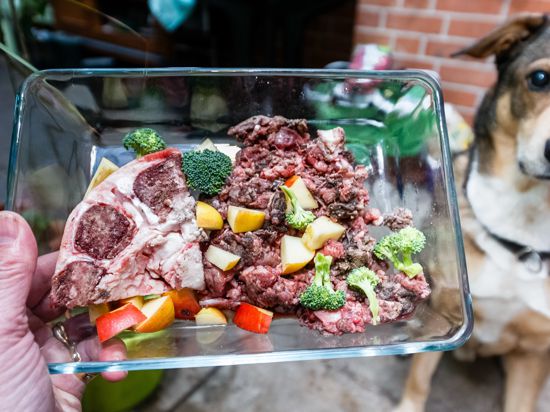 Zum Themendienst-Bericht vom 22. Mai 2019: Futter nach der Barf-Methode besteht aus rohem Fleisch, Innereien, Knorpelfleisch, Knochen sowie Obst und Gemüse.
