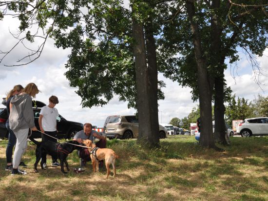 Olesja, Emilia, Christoph und Andrej mit ihren Hunden Hanni und Fine. Tiere wie Menschen genießen das schattige Plätzchen abseits der A8 und des Parkplatzes der Raststätte Pforzheim-Nord.