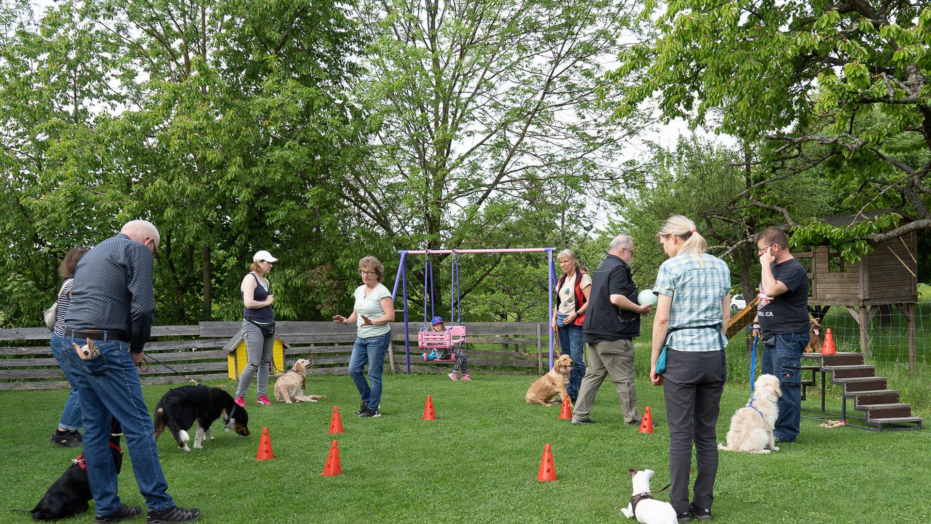 Teamwork: Wie die Zusammenarbeit von Mensch und Hund funktionieren kann, wollen die Mitglieder des Vereins TMH Neulingen am Samstag bei der Vereinsmesse zeigen. 