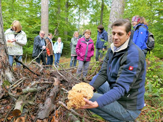 Guter Fund: Hagen Hesse zeigt den Teilnehmern seiner Pilzführung stolz die voluminöse „Krause Glucke“, ein leckerer Speisepilz