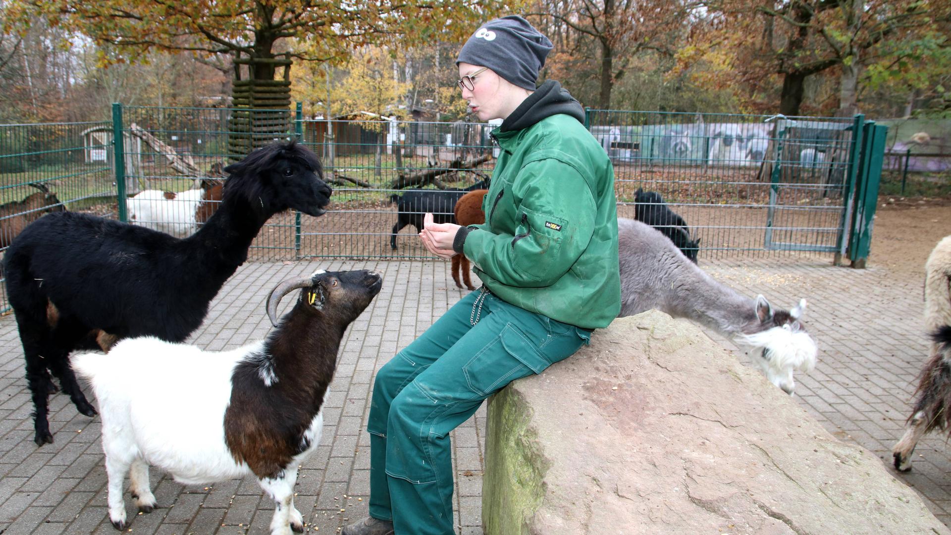 Tiere mit Tierpflegerin