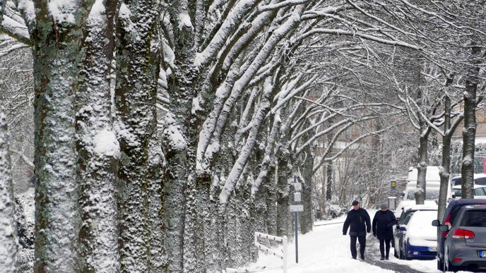Allee mit Schnee: In Büchenbronn verwandelte der Schnee die Bäume und Straßen in eine bilderbuchmäßige Winterlandschaft.
