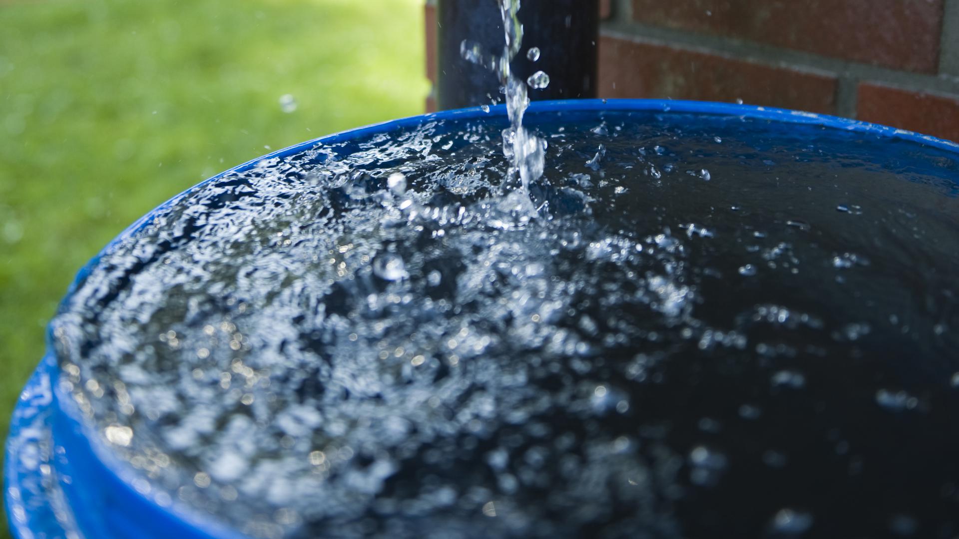 Regentonnen sind eine für jeden Bürger kurzfristig umsetzbare Idee, um beim Gießen des häuslichen Garten im Sommer Wasser zu sparen.